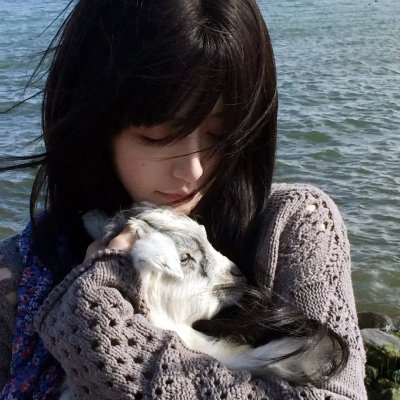 森林进化论 海报
