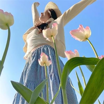 种子 海报